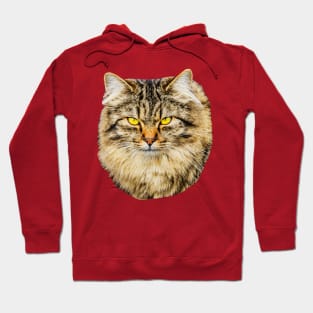 Cats face Hoodie